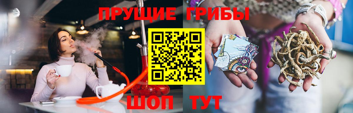 Псилоцибиновые грибы Psilocybine cubensis Чусовой