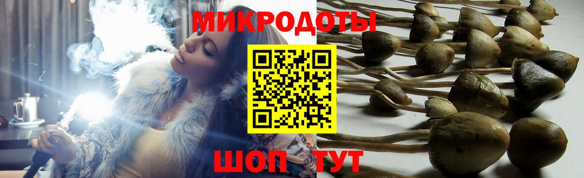 что такое   Псилоцибиновые грибы GOLDEN TEACHER  Вход с VPN  Чусовой 